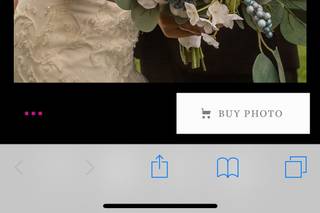 All Occasion Photography - 26