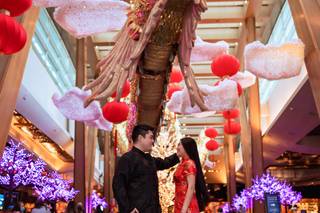 Eugene Kim Photography - 11