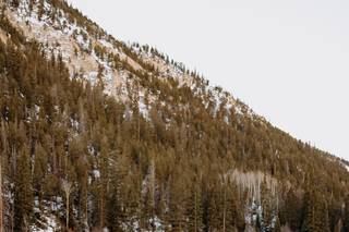 Rogue Shutter Photography - 26