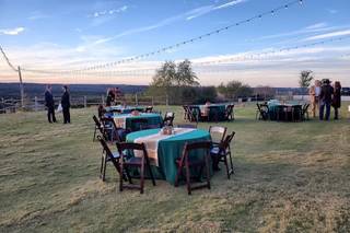 Dove Ridge Vineyard - 61