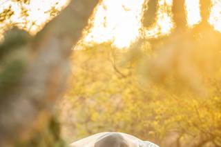 Neal Kreuser Photography - 10
