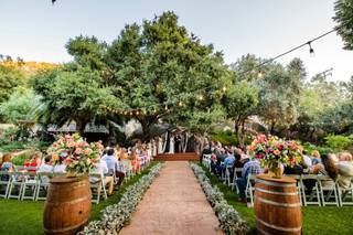 Paul Douda Photography - 17