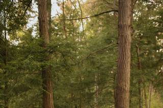 Justin Kunimoto Photography - 85