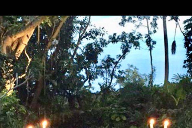 Trias Flowers and Events 4