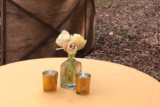 Stepladder Ranch - 5