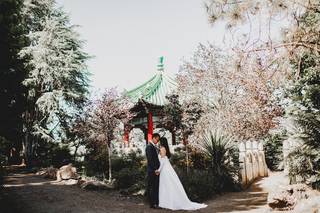 Mike Yoon Photo - 37