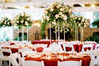 Ivory and Beau - 115