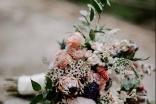 Melody Cook Photography - 33