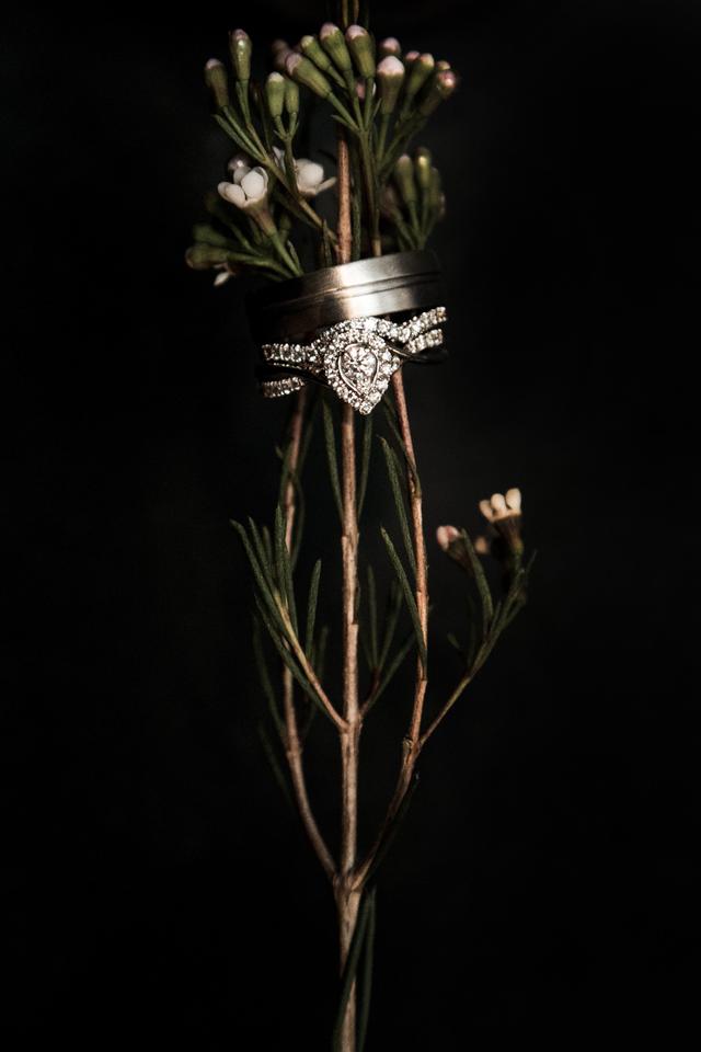 Jessica Notargiacomo Photography - 1