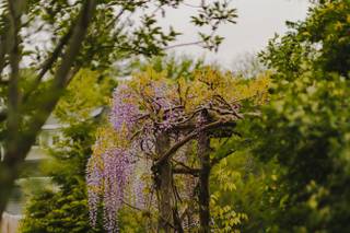 Amanda Macchia Photography - 9