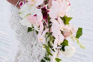 Tonya Malay Photography - 70