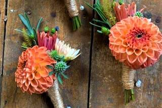 Jayflora Designs - 12