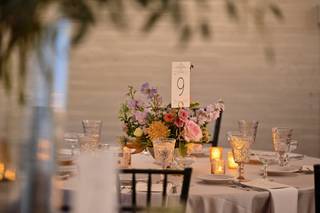 Rumphius Farms - 10