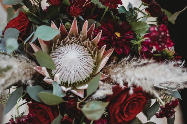 Janae Marie Photography - 1