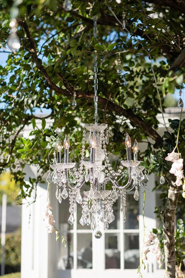 Brides N Blooms Wholesale and Designs - 2