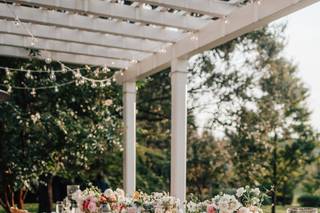 Orpha Events - 36