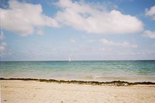EverAfter Travel - 33