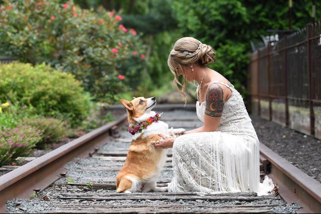Janet Lanza Photography - 3
