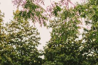 Jack Robert Photography - 13