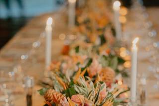 Blue Butterfly Events - 52