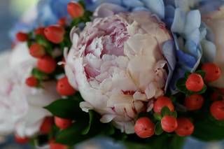 Creations de Belle - 7