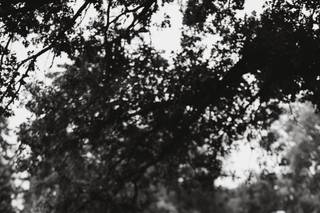 Bravo Photography - 34