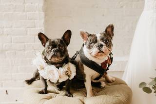 Smile ‘N’ Wag - 6
