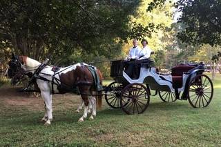 Yellow Rose Carriage Service - 4