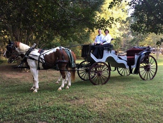 Yellow Rose Carriage Service - 1