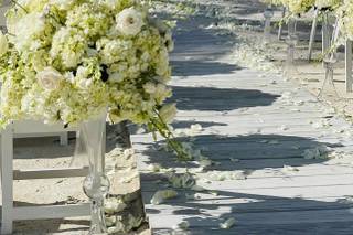 Tropic all Blooms n' More - 15