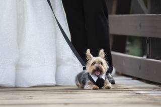 David and Vicki Arndt Photography - 33