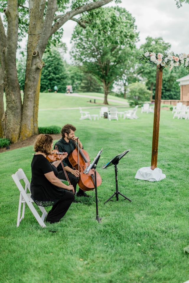 Viva la Strings - 2