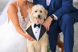 Wedding Puptials - 21