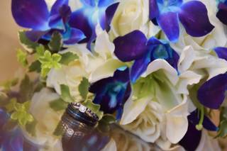 T. Rayne Photography - 9