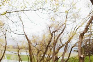 Red Aspen Photography - 14