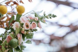 TWIG Gardens - 19