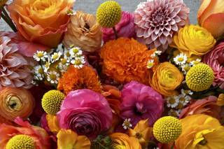 Simply Petals Flowers - 38
