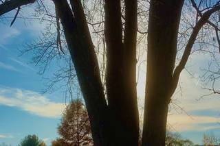 Harrybrooke Park and Harden House Museum - 8