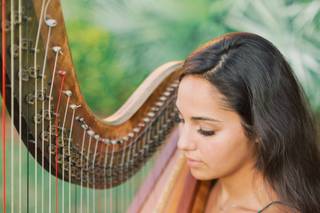 Jade Strings - 17