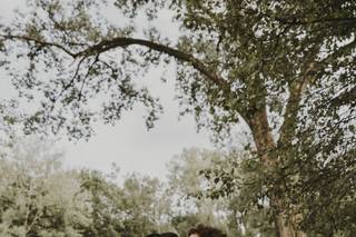 Highland Springs Floral - 14