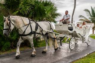 Bridie Travel - 5