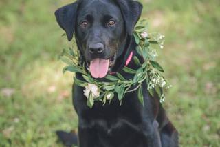 Elizabeth Birdwell Photography - 31
