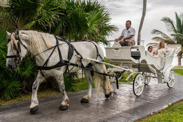 Bridie Travel - 1
