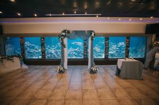 Gulfarium Marine Adventure Park - 26