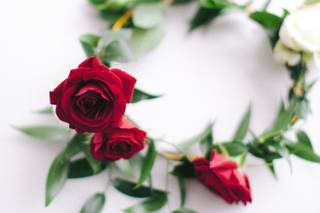 Fluttering Flowers - 54