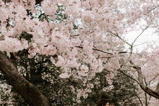 Ashley Olafsson Photography - 66