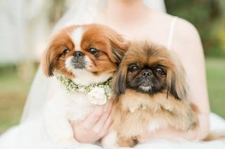 Kristen Marcus Photography - 23