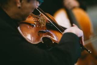 Innocenti Strings - 15
