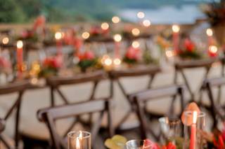 Tropical Occasions - 11