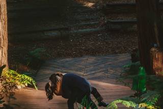Sparrow Valley Retreat - 12